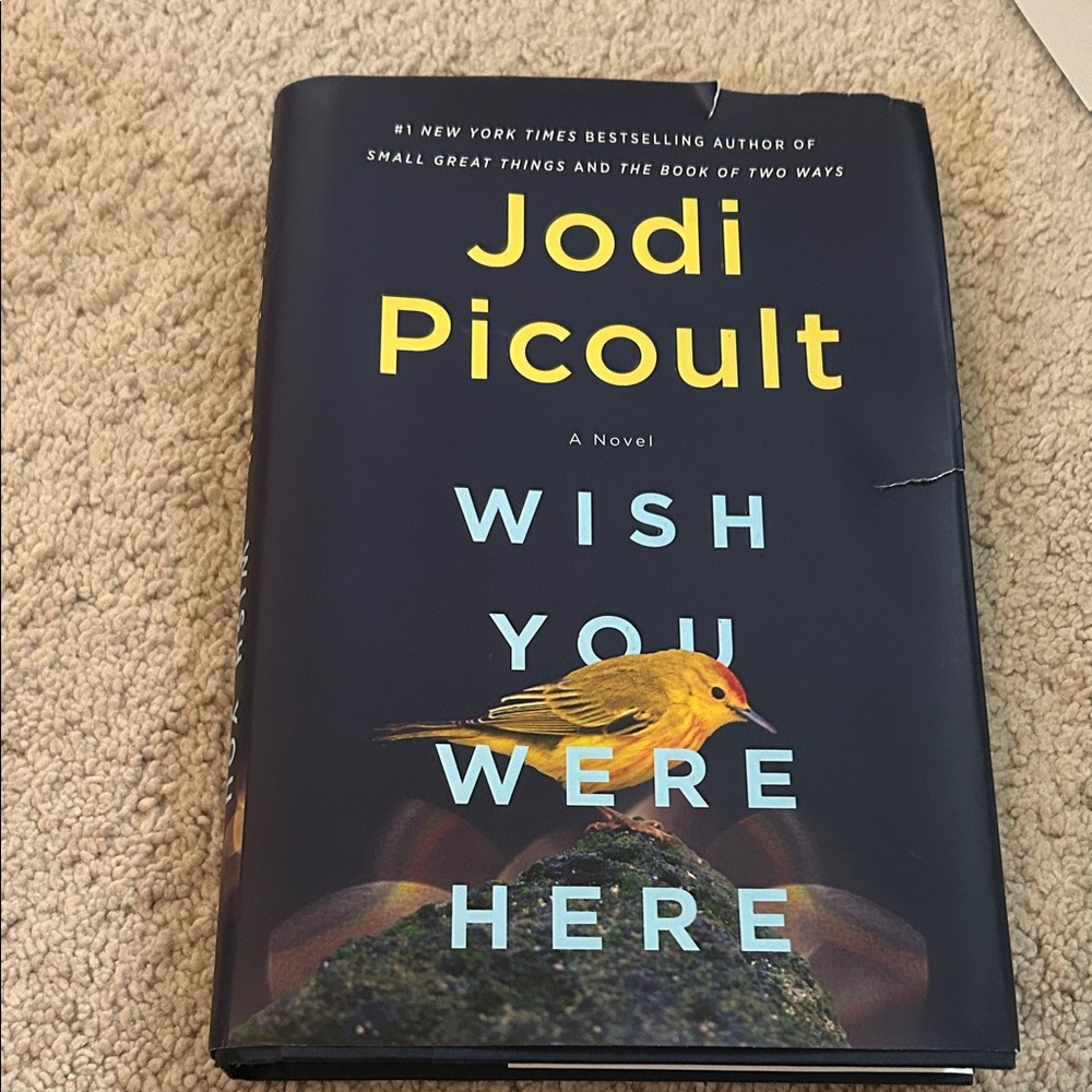 Jodi Picoult 'Wish You Were Here' Hardcover Book